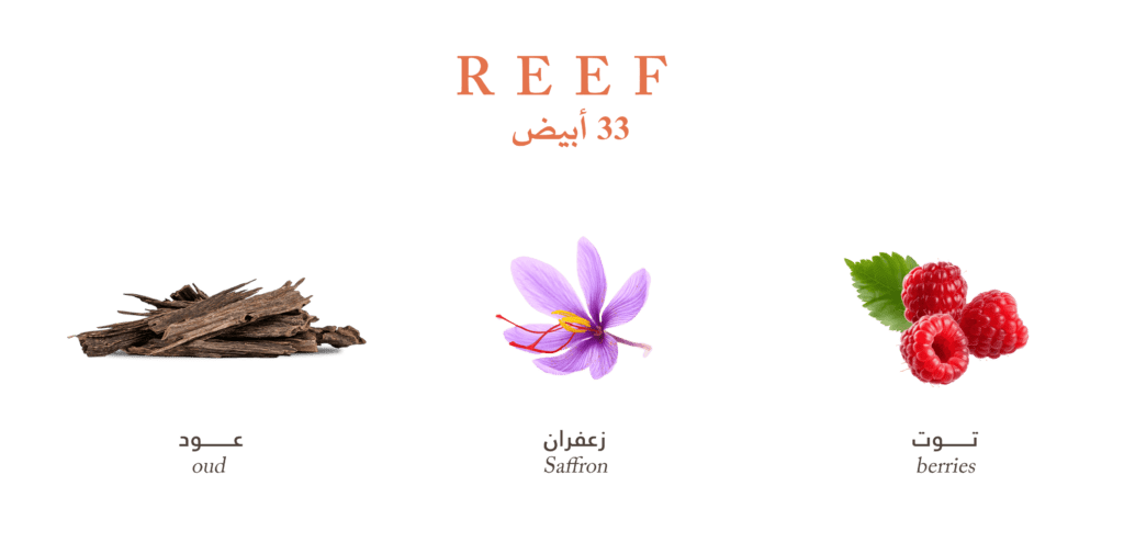 Gissah Parfum Maroc l عطور قصة المغرب