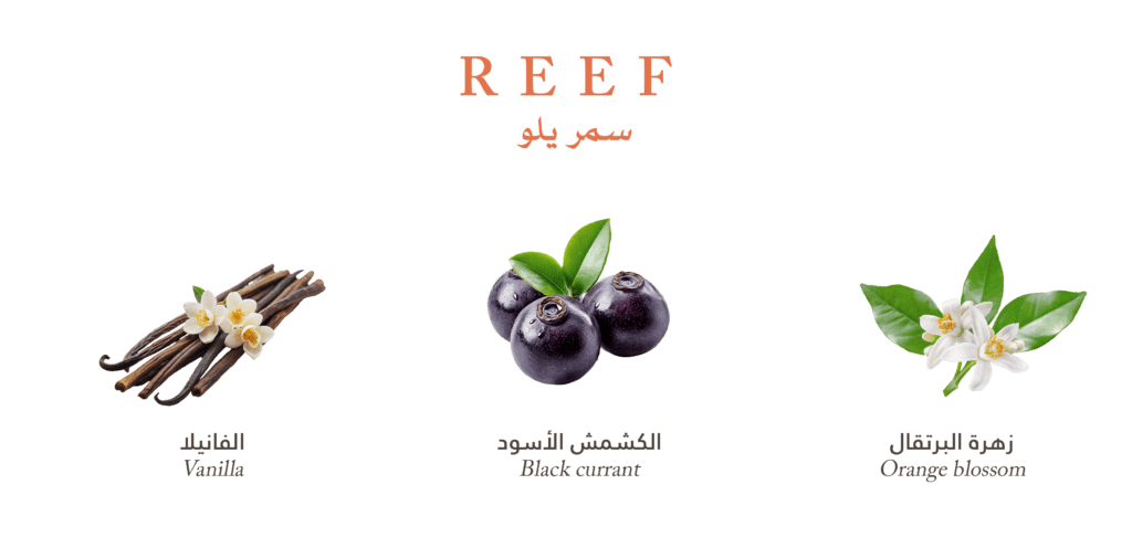 Gissah Parfum Maroc l عطور قصة المغرب