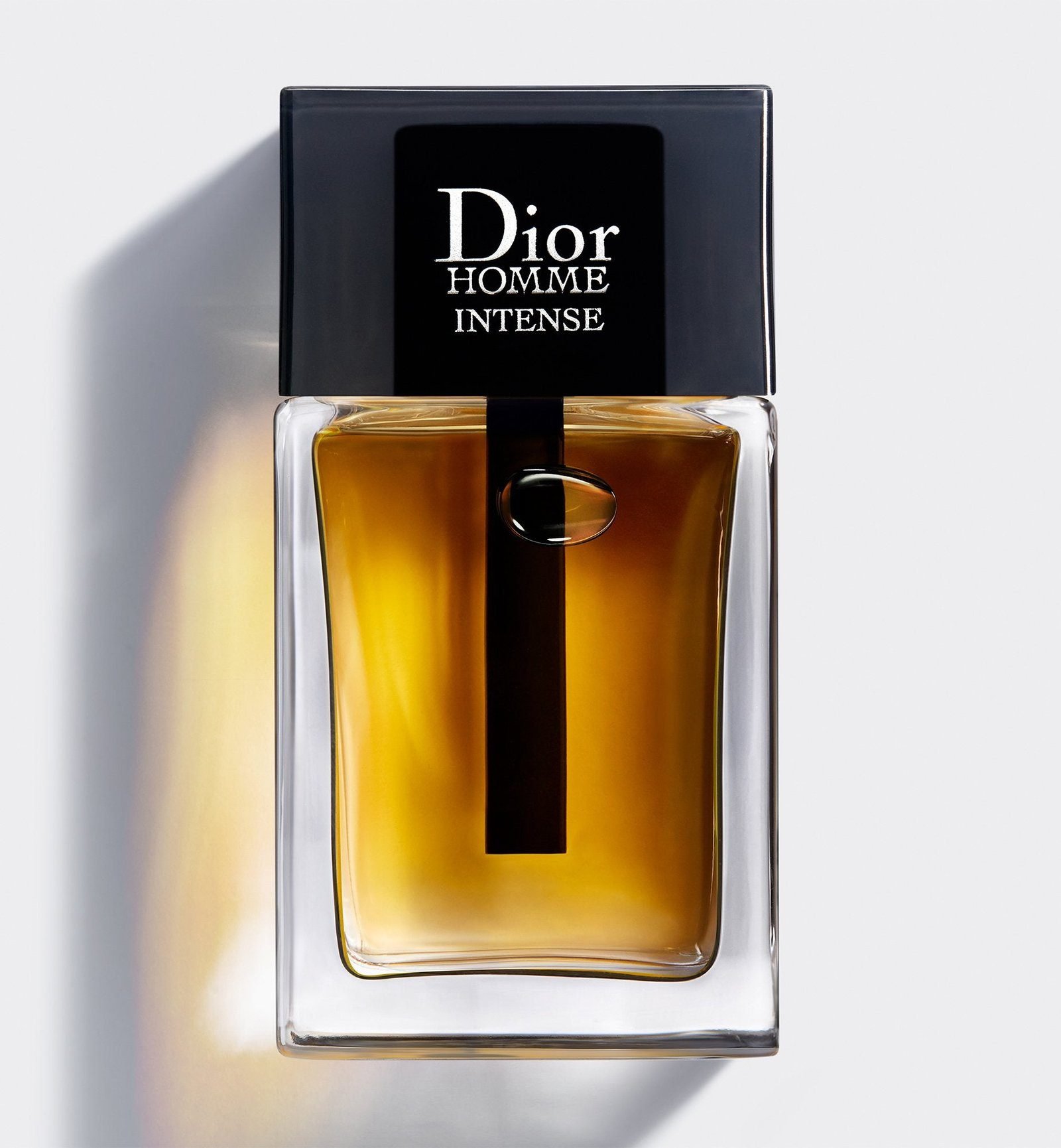 Dior HOMME INTENSE Eau de Parfum