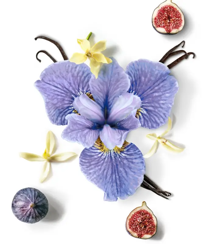 Coffret Prestige Star – Image 2