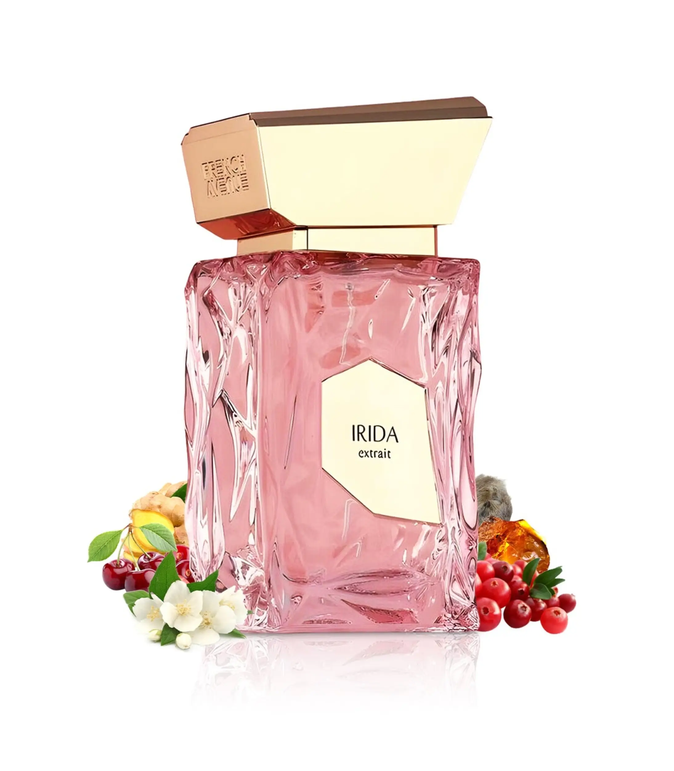 Irida Extrair - French Avenue – Image 3